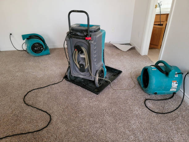 Best Local water damage restoration  in Bayville, NY