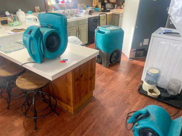 Reliable Bayville, NY Water damage restoration Solutions