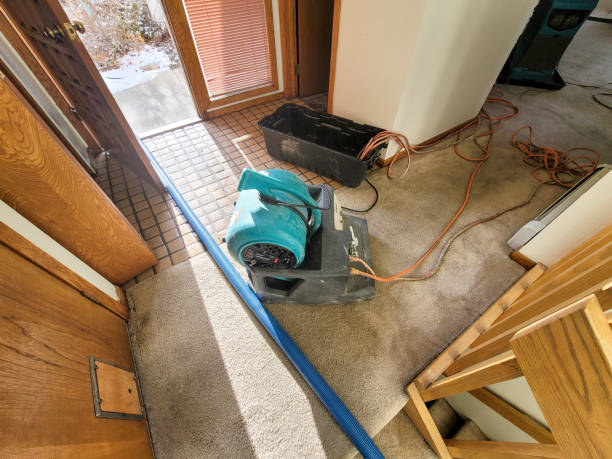 Best Water damage restoration mold remediation  in Bayville, NY