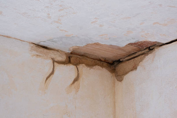 Best Water damage restoration company  in Bayville, NY