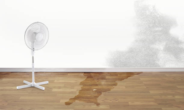 Best Water damage restoration near me  in Bayville, NY