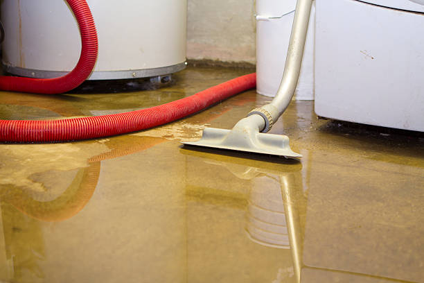Best Flood damage cleanup  in Bayville, NY