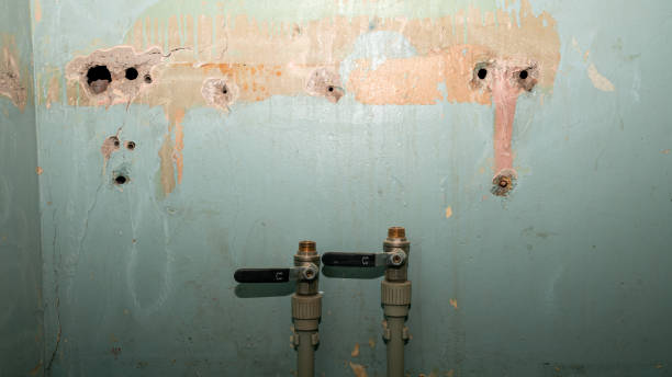Best Fire Damage Restoration  in Bayville, NY