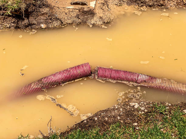Best Water damage contractors near me  in Bayville, NY